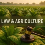 A symbolic photo of tobacco leaves in a field with a warning overlay in Australia