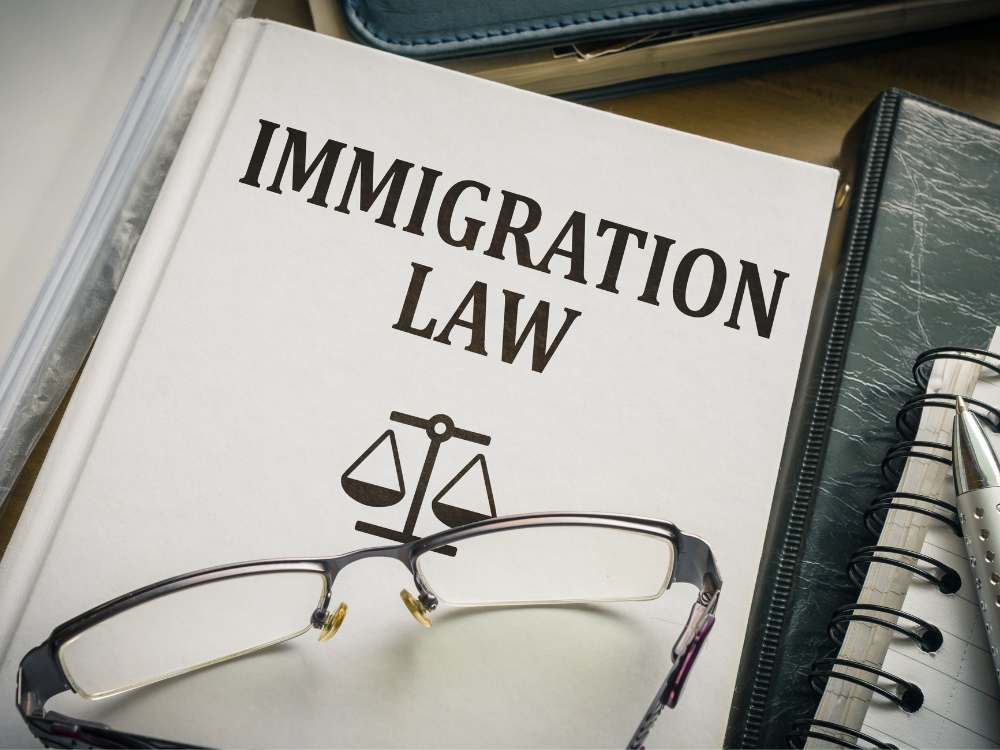 Immigration Law