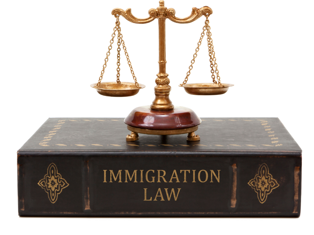 Immigration Law